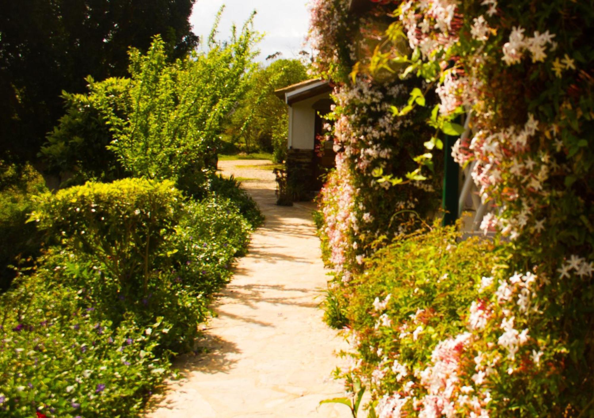 Paradise In Portugal Santa Clara-a-Velha Εξωτερικό φωτογραφία